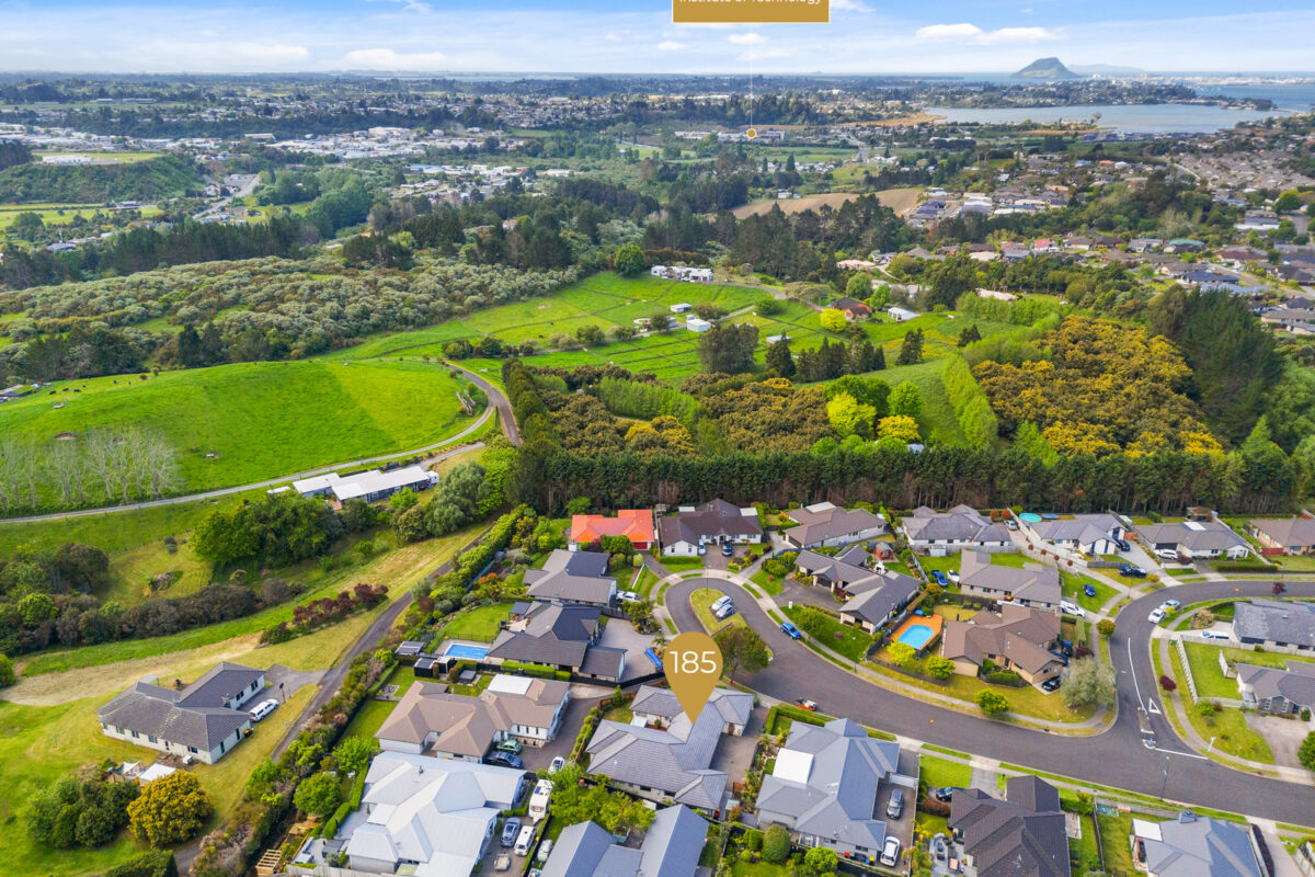 185 rowesdale drive ohauiti nz green land